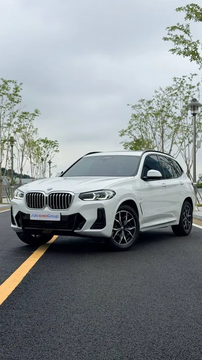 BMW X3 xDrive 20i M — фото клиента